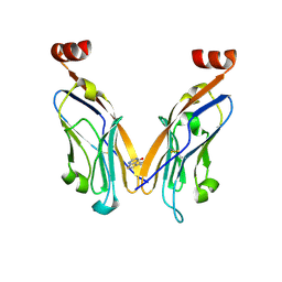 BU of 6nm7 by Molmil