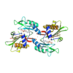 BU of 6no0 by Molmil