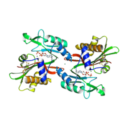 BU of 6no3 by Molmil