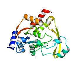 BU of 6np1 by Molmil