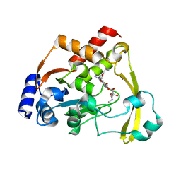 BU of 6np2 by Molmil