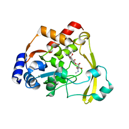 BU of 6np3 by Molmil