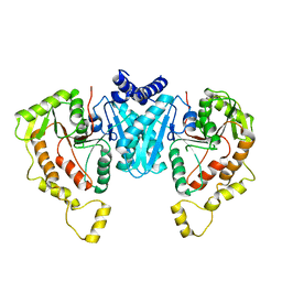 BU of 6npj by Molmil