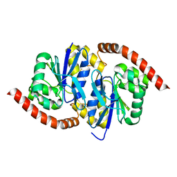 BU of 6npq by Molmil