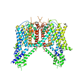 BU of 6nq1 by Molmil