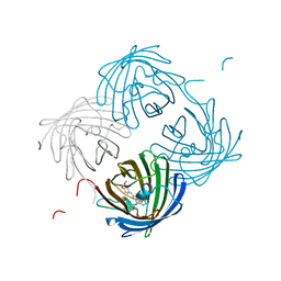 BU of 6nqs by Molmil