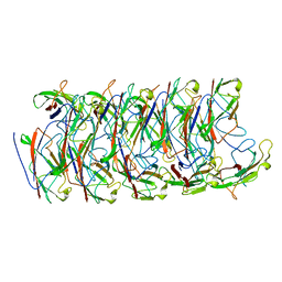 BU of 6nrv by Molmil