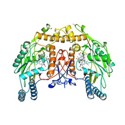 BU of 6nse by Molmil