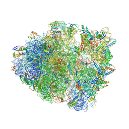 BU of 6nta by Molmil