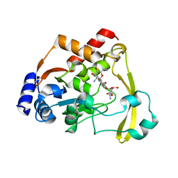 BU of 6nti by Molmil