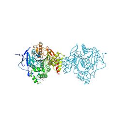 BU of 6ntk by Molmil