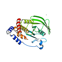 BU of 6ntp by Molmil