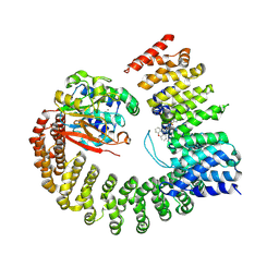 BU of 6nts by Molmil