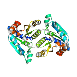 BU of 6nvf by Molmil