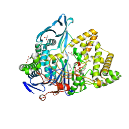 BU of 6nvx by Molmil