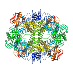 BU of 6o6b by Molmil