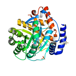 BU of 6oc1 by Molmil