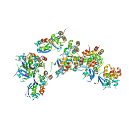 BU of 6ocp by Molmil