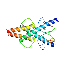 BU of 6od4 by Molmil