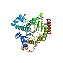 BU of 6odb by Molmil