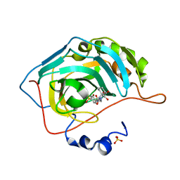 BU of 6oe1 by Molmil