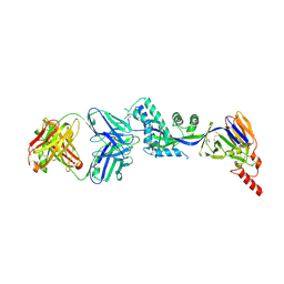 BU of 6oe4 by Molmil