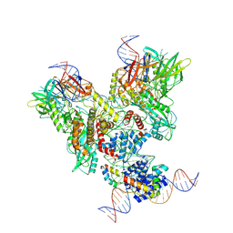 BU of 6oem by Molmil