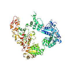 BU of 6og2 by Molmil