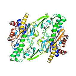 BU of 6oi5 by Molmil