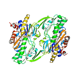 BU of 6oi6 by Molmil