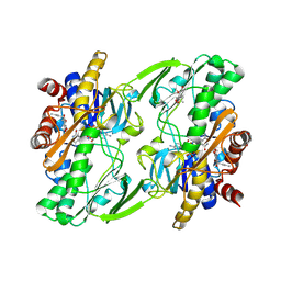 BU of 6oib by Molmil