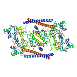 BU of 6ois by Molmil