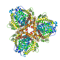 BU of 6oiw by Molmil