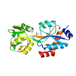 AU of 6oki by Molmil