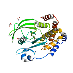 BU of 6ol4 by Molmil