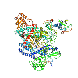 BU of 6omv by Molmil