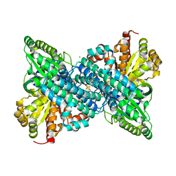 BU of 6onc by Molmil