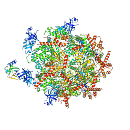 BU of 6opc by Molmil