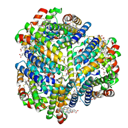 BU of 6ovh by Molmil