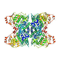 BU of 6ovt by Molmil