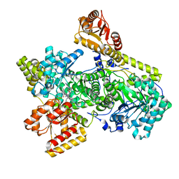 BU of 6oxc by Molmil