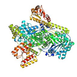 BU of 6oxd by Molmil