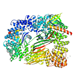 BU of 6oxl by Molmil