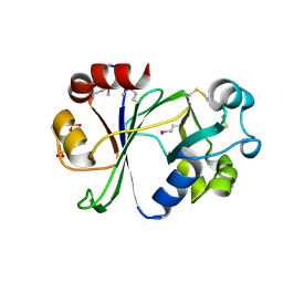 BU of 6p0f by Molmil