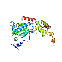 BU of 6p14 by Molmil