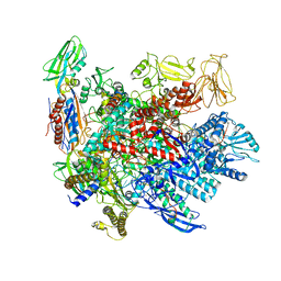 BU of 6p19 by Molmil