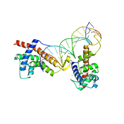 BU of 6p1a by Molmil