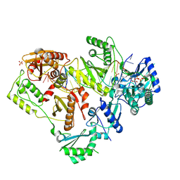 BU of 6p1i by Molmil