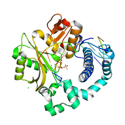 BU of 6p1o by Molmil