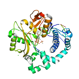 BU of 6p1w by Molmil